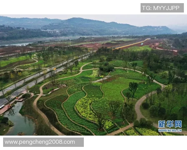 俞长栋：从平凡到卓越的奋斗之路与人生哲学探讨