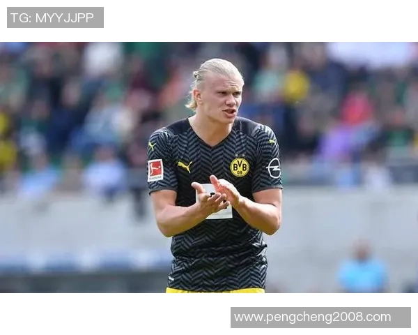 哈兰德：从天才少年到足球巨星的辉煌历程与未来展望