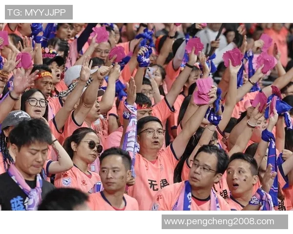 欧冠门票系统故障引发数万球迷排队12小时抢购热潮