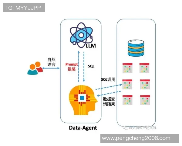 重庆极限运动队灵活性表现的数据分析与探讨 重庆极限运动队灵活性表现的数据分析与探讨