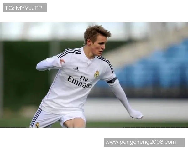 厄德高：从天才少年到足球巨星的成长之路与辉煌成就